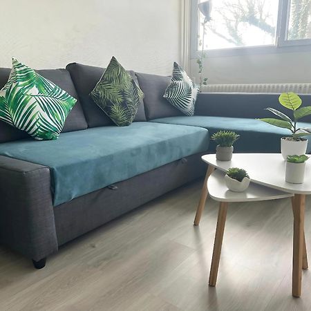 Appartement Le Classik' Parking Prive Mâcon Esterno foto
